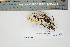  ( - CCDB-42282-C02)  @11 [ ] CreativeCommons - Attribution Non-Commercial Share-Alike (2022) Canadian Museum of Nature Canadian Museum of Nature