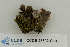  ( - CCDB-25802-G10)  @11 [ ] CreativeCommons - Attribution Non-Commercial Share-Alike (2019) Hayley Paquette Canadian Museum of Nature