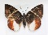  ( - CC-210)  @11 [ ] CreativeCommons  Attribution
Non-Commercial Share-Alike (2019) Viviana Aya Cenicaña