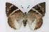  ( - CC-210)  @11 [ ] CreativeCommons  Attribution
Non-Commercial Share-Alike (2019) Viviana Aya Cenicaña