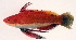  ( - aq913crmal)  @14 [ ] CreativeCommons - Attribution Non-Commercial Share-Alike (2013) Benjamin Victor Benjamin Victor