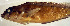  ( - b17138l385)  @11 [ ] by-nc-sa (2022) Benjamin Victor Benjamin Victor