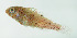  ( - b17139s117)  @11 [ ] by-nc-sa (2021) Benjamin Victor Benjamin Victor