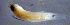  ( - baj9827tg122)  @12 [ ] CreativeCommons - Attribution Non-Commercial Share-Alike (2013) Benjamin Victor Benjamin Victor