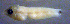  ( - baj98914tg128)  @12 [ ] CreativeCommons - Attribution Non-Commercial Share-Alike (2013) Benjamin Victor Benjamin Victor