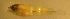  ( - bal11400lx91)  @12 [ ] CreativeCommons - Attribution Non-Commercial Share-Alike (2012) Benjamin Victor Benjamin Victor