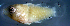  ( - bal11400mx98)  @12 [ ] CreativeCommons - Attribution Non-Commercial Share-Alike (2014) Benjamin Victor Benjamin Victor