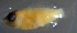  ( - bal11400sx104)  @11 [ ] CreativeCommons - Attribution Non-Commercial Share-Alike (2014) Benjamin Victor Benjamin Victor