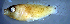 ( - bal11400sx157)  @13 [ ] CreativeCommons - Attribution Non-Commercial Share-Alike (2014) Benjamin Victor Benjamin Victor