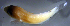  ( - bal11400sx165)  @11 [ ] CreativeCommons - Attribution Non-Commercial Share-Alike (2014) Benjamin Victor Benjamin Victor