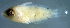 ( - bal11500mx98)  @12 [ ] CreativeCommons - Attribution Non-Commercial Share-Alike (2014) Benjamin Victor Benjamin Victor