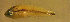  ( - bal11700h93)  @13 [ ] CreativeCommons - Attribution Non-Commercial Share-Alike (2012) Benjamin Victor Benjamin Victor