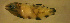  ( - bal11700hh107)  @13 [ ] CreativeCommons - Attribution Non-Commercial Share-Alike (2012) Benjamin Victor Benjamin Victor