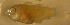  ( - bal11700mm106)  @12 [ ] CreativeCommons - Attribution Non-Commercial Share-Alike (2012) Benjamin Victor Benjamin Victor