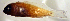  ( - bal11800jpx166)  @12 [ ] CreativeCommons - Attribution Non-Commercial Share-Alike (2014) Benjamin Victor Benjamin Victor