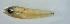  ( - bal11800lx90)  @12 [ ] CreativeCommons - Attribution Non-Commercial Share-Alike (2014) Benjamin Victor Benjamin Victor