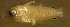  ( - bal11800mm97)  @12 [ ] CreativeCommons - Attribution Non-Commercial Share-Alike (2012) Benjamin Victor Benjamin Victor