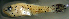  ( - bal11800pg148)  @11 [ ] CreativeCommons - Attribution Non-Commercial Share-Alike (2014) Benjamin Victor Benjamin Victor