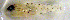  ( - c14cd88)  @12 [ ] CreativeCommons - Attribution Non-Commercial Share-Alike (2014) Benjamin Victor Benjamin Victor