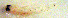  ( - c14cs93)  @12 [ ] CreativeCommons - Attribution Non-Commercial Share-Alike (2014) Benjamin Victor Benjamin Victor