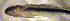  ( - c14eh235)  @12 [ ] CreativeCommons - Attribution Non-Commercial Share-Alike (2014) Benjamin Victor Benjamin Victor