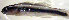  ( - c14eh243)  @13 [ ] CreativeCommons - Attribution Non-Commercial Share-Alike (2014) Benjamin Victor Benjamin Victor