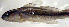  ( - c14eh265)  @12 [ ] CreativeCommons - Attribution Non-Commercial Share-Alike (2014) Benjamin Victor Benjamin Victor