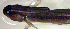 ( - c14eh325)  @12 [ ] CreativeCommons - Attribution Non-Commercial Share-Alike (2014) Benjamin Victor Benjamin Victor
