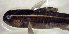  ( - c14eh372)  @13 [ ] CreativeCommons - Attribution Non-Commercial Share-Alike (2014) Benjamin Victor Benjamin Victor