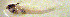  ( - c14er140)  @12 [ ] CreativeCommons - Attribution Non-Commercial Share-Alike (2014) Benjamin Victor Benjamin Victor