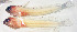  ( - cay14r141)  @11 [ ] CreativeCommons - Attribution Non-Commercial Share-Alike (2020) Benjamin Victor Benjamin Victor