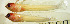  ( - cay14r148)  @11 [ ] CreativeCommons - Attribution Non-Commercial Share-Alike (2020) Benjamin Victor Benjamin Victor
