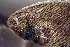  ( - ch16s640)  @11 [ ] CreativeCommons - Attribution Non-Commercial Share-Alike (2016) Benjamin Victor Benjamin Victor