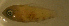  ( - ck98425sb80)  @11 [ ] CreativeCommons - Attribution Non-Commercial Share-Alike (2012) Benjamin Victor Benjamin Victor