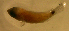  ( - ck98cx100)  @12 [ ] CreativeCommons - Attribution Non-Commercial Share-Alike (2012) Benjamin Victor Benjamin Victor