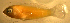  ( - ck98lx130)  @12 [ ] CreativeCommons - Attribution Non-Commercial Share-Alike (2012) Benjamin Victor Benjamin Victor