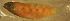  ( - clip98t166)  @12 [ ] CreativeCommons - Attribution Non-Commercial Share-Alike (2012) Benjamin Victor Benjamin Victor
