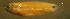  ( - clip98tg197)  @12 [ ] CreativeCommons - Attribution Non-Commercial Share-Alike (2012) Benjamin Victor Benjamin Victor
