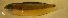  ( - clip98tl122)  @12 [ ] CreativeCommons - Attribution Non-Commercial Share-Alike (2012) Benjamin Victor Benjamin Victor