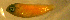  ( - coc97sx92)  @11 [ ] CreativeCommons - Attribution Non-Commercial Share-Alike (2012) Benjamin Victor Benjamin Victor