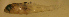  ( - d11712ca86)  @12 [ ] CreativeCommons - Attribution Non-Commercial Share-Alike (2012) Benjamin Victor Benjamin Victor