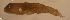 ( - d11718le110)  @11 [ ] CreativeCommons - Attribution Non-Commercial Share-Alike (2019) Benjamin Victor Benjamin Victor