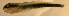 ( - d11719ee87)  @13 [ ] CreativeCommons - Attribution Non-Commercial Share-Alike (2011) Benjamin Victor Benjamin Victor