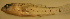  ( - d11720cd165)  @12 [ ] CreativeCommons - Attribution Non-Commercial Share-Alike (2012) Benjamin Victor Benjamin Victor