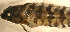  ( - d11721lc254)  @12 [ ] CreativeCommons - Attribution Non-Commercial Share-Alike (2011) Benjamin Victor Benjamin Victor