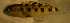  ( - ei05tp159)  @12 [ ] CreativeCommons - Attribution Non-Commercial Share-Alike (2012) Benjamin Victor Benjamin Victor