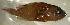  ( - el14cc195)  @11 [ ] CreativeCommons - Attribution Non-Commercial Share-Alike (2014) Benjamin Victor Benjamin Victor