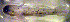  ( - f14gg165)  @13 [ ] CreativeCommons - Attribution Non-Commercial Share-Alike (2014) Benjamin Victor Benjamin Victor