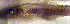  ( - f14pc235)  @12 [ ] CreativeCommons - Attribution Non-Commercial Share-Alike (2014) Benjamin Victor Benjamin Victor