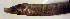  ( - fl813ac620)  @12 [ ] CreativeCommons - Attribution Non-Commercial Share-Alike (2013) Benjamin Victor Benjamin Victor